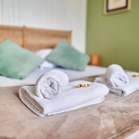 Tatil Evi L'elegante Demeure Cathedrale Parking Gratuit Reims