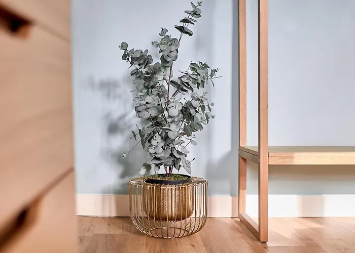 Tatil Evi L'elegante Demeure Cathedrale Parking Gratuit Reims